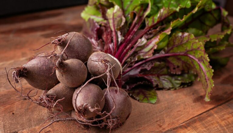verrines de betteraves rouges